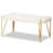 Abagael Coffee Table in White and Brushed Gold Finish, 17.89'' H X 43.39'' W X 22.97'' D
