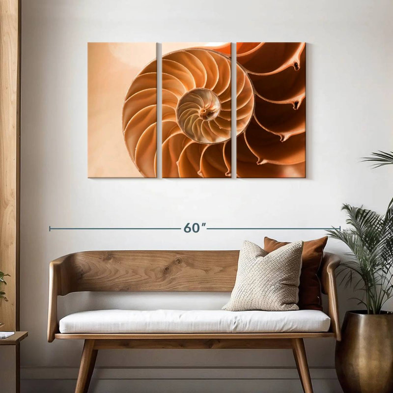 Aletra Nautilus Shell Inside, 28" H x 45" W
