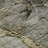 Premium Machine Washable Prisco Taupe Rug-920097923