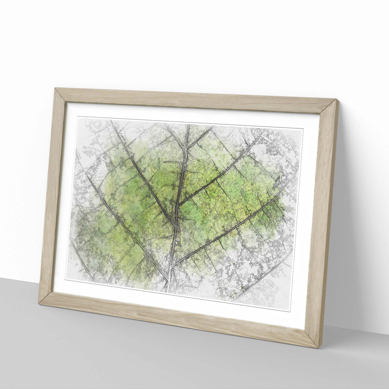 Lines of the Leaf in Abstract - Picture Frame Graphic Art Print, 35cm H x 50cm W x 2cm D, Oak