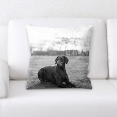 Coussin pour chien