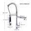 Belfry Kitchen Valdez Pull Out Kitchen Faucet