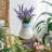 Lockway Ceramic Table Vase-1254999917