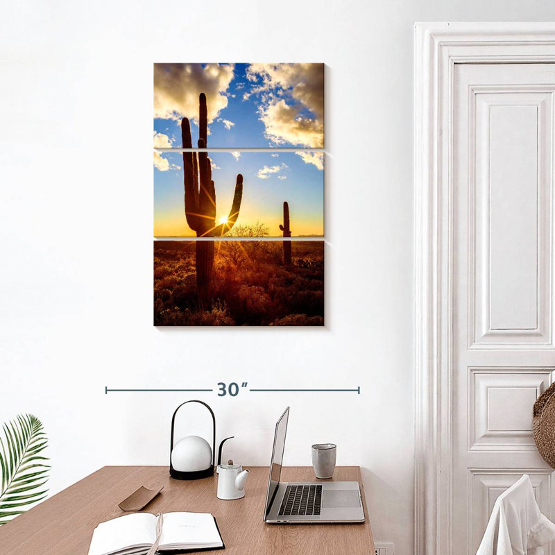 Parc national Nicci Saguaro Est V, H 32 po x l 20 po