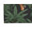 Rumble In the Jungle Indoor Non-Slip Area Rug-61610659