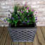Samuel Alexander Pot Planter