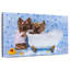 Chiens de bain moussant-1448772833
