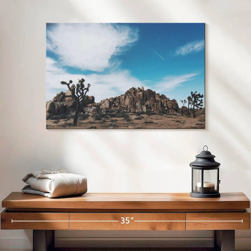 Nicci Joshua Tree Mastodon Peak, H 16 po x l 24 po