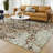 Machine Washable Indoor/Outdoor Chantille ACN2584 Traditional Rug-145961310-145961312