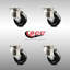 Ensemble de roulettes en acier inoxydable 316SS-105700677