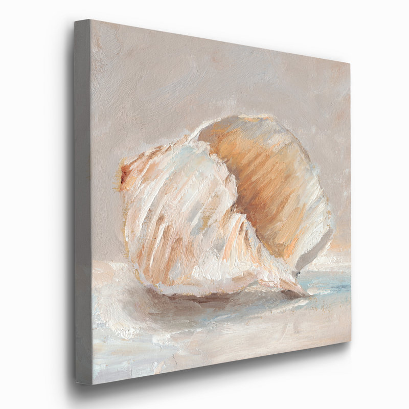 " Impressionist Shell Study IV ", 16" H x 16" W x 1" D