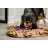 Broghin Polyester Pet Bed