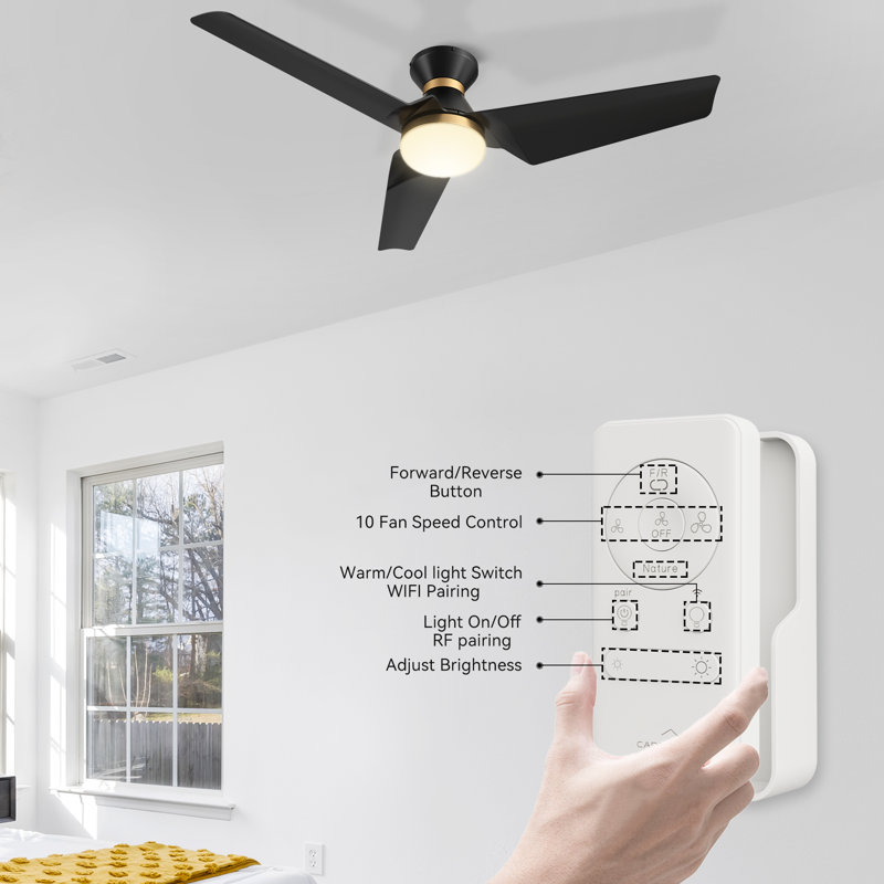 Emmly 52'' Ceiling Fan with LED Lights