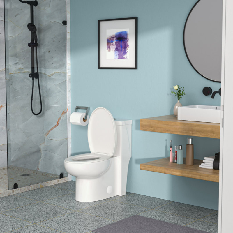Ceramic One Piece Toilet,Dual Flush With Soft Clsoing Seat