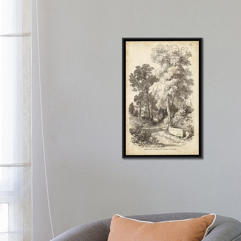 «Noble Tree I» par J.D. Harding - Impression sur toile tendue sur châssis, H 26 po x l 18 po x P 1,5 po, Pas de tapis