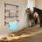 Wall Mounted 4 Saddle Blanket Racks
