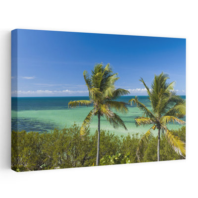 Atlantic Ocean From Bahia Honda Key In The Florida Keys, Florida, Usa Abstract Contemporary Palm Tree Landscape Nature Wall Art