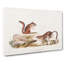 Ground Squirrels by J.W. Audubon - Wrapped Canvas-55359748