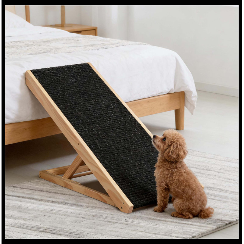 Rampe pour animaux de compagnie