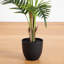 Palmier Areca artificiel-776892854