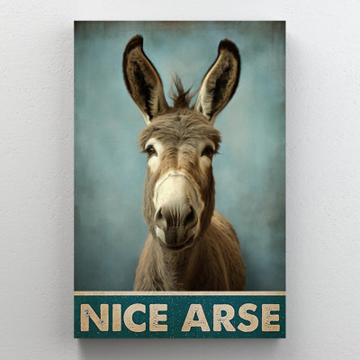 Koloman " Donkey Nice Arse 2 "