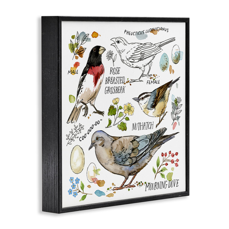 Schéma d'observation d'oiseaux, estampe numérique par Jane Maday, H 12 po x l 12 po, Giclée encadrée noir minuit