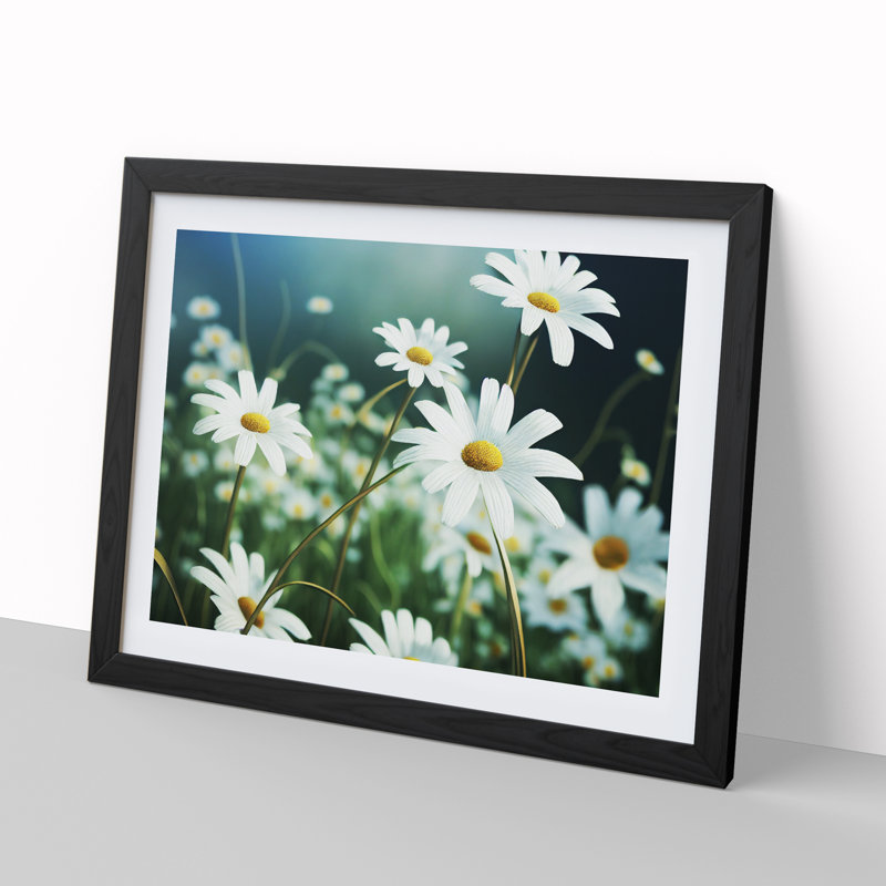 Splendorous Daisy Flowers - Framed Print, Black, 46cm H x 64cm W x 2cm D