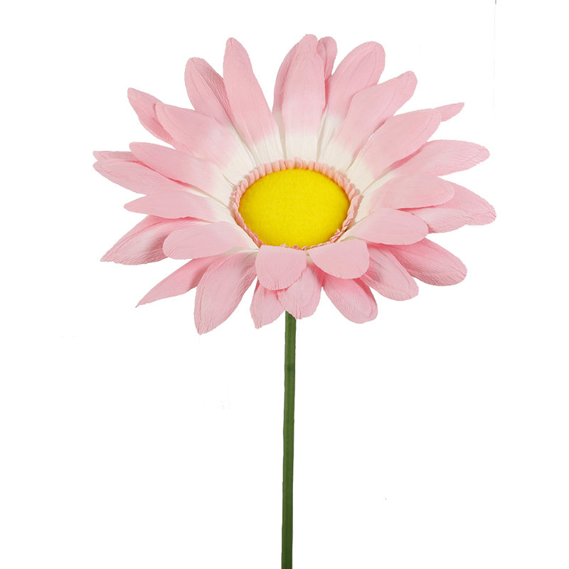 Daisy Arrangement, Pink