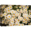 Vibrant, fleurs sauvages, aquarelle, fleurs de bohème, fleurs, illustrations florales, 2 pièces-99542786