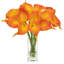 Arrangement in Vase-1009169566
