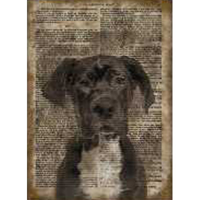 Great Dane Vintage Paper - No Frame Print