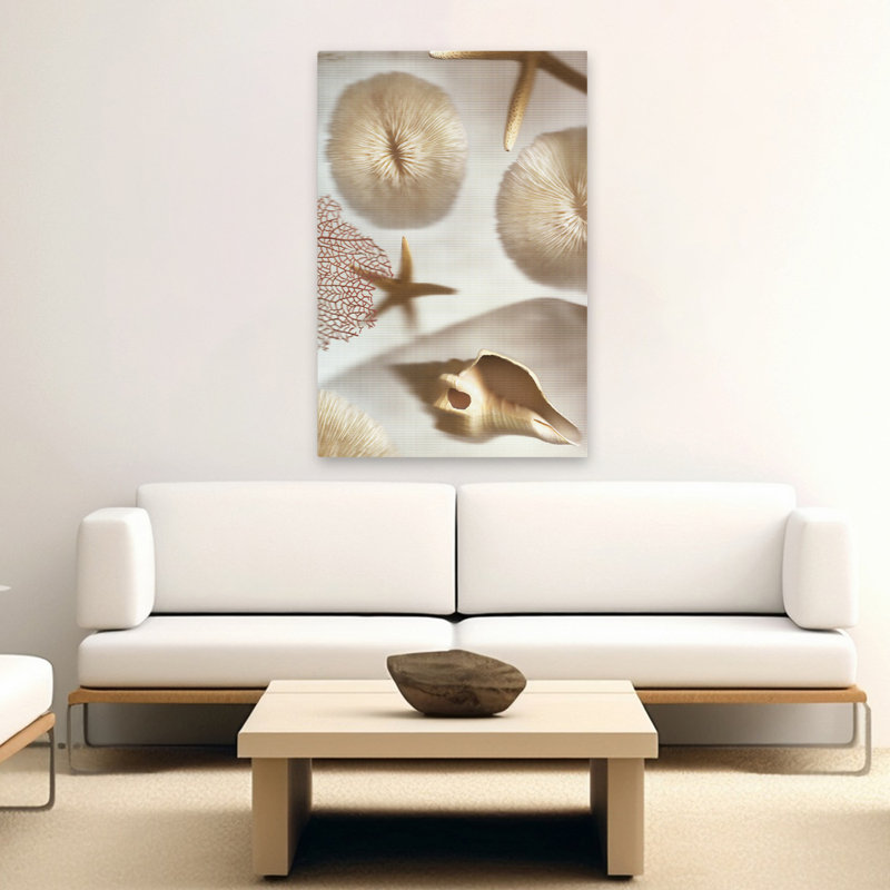 Nautical Illuminations No.1 - Photographie de fleurs et de natures mortes, H 60 po x l 40 po