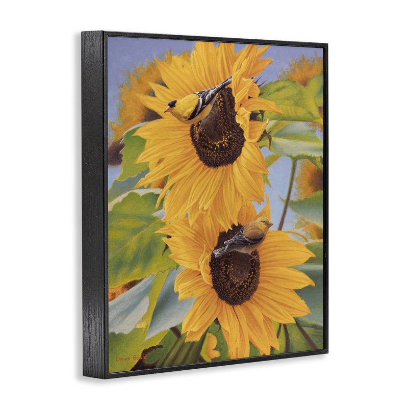 Oiseau jaune et tournesols, estampe numérique par Shawn Gould, Giclée encadrée noir minuit, H 20 po x l 16 po