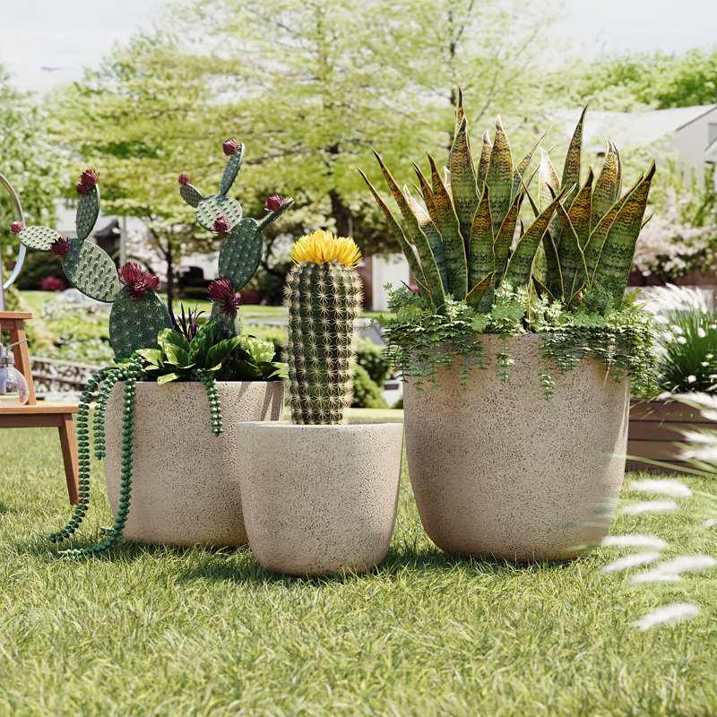 Ensemble de jardinières Durable Mgo, finition mat moderne, pour les jardins intérieurs et extérieurs