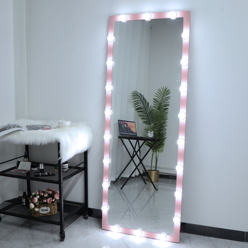 Eliyannah Aluminum Floor Mirror, Pink