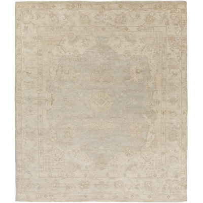 Algere Wool Oriental Indoor Rug