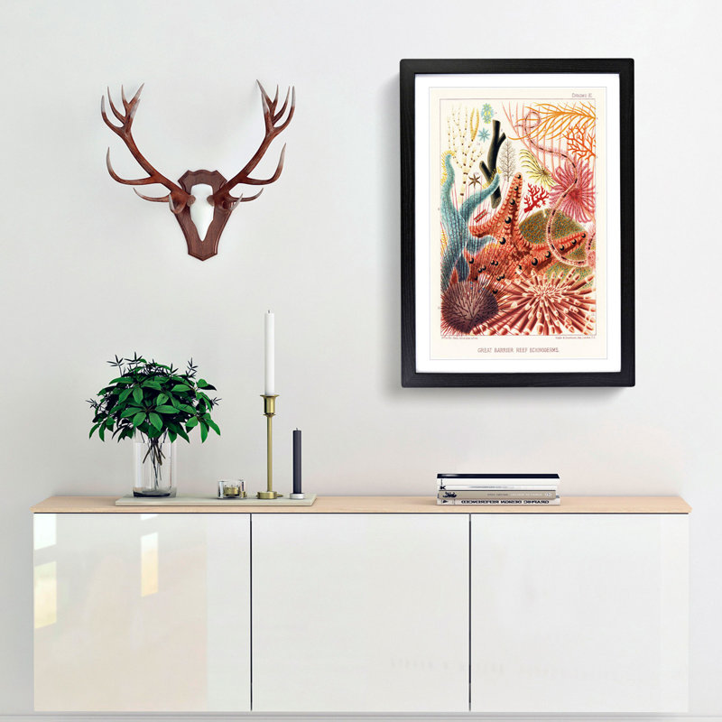 Great Barrier Reef Starfish by W. Saville-Kent - Picture Frame Painting Print, 65cm H x 48cm W x 2cm D, Black Framed