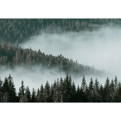 Murale Misty and Fog over Mountain Forest Valley