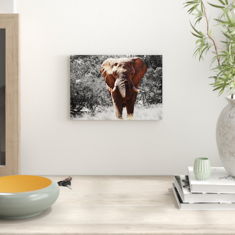 Elephant - Frameless Print, 29.7cm H x 42cm W