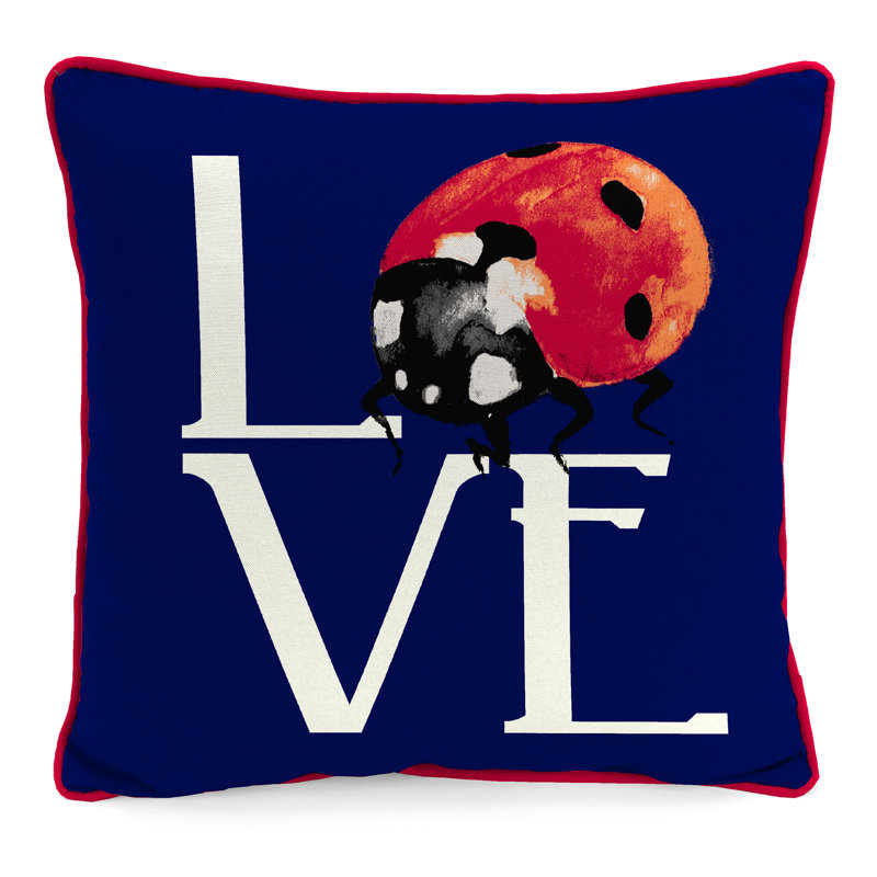 16" x 16" Outdoor Throw Pillow with Welt, Love Ladybug