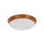 Lucci Air Airfusion Type A Koa LED Light-617589810