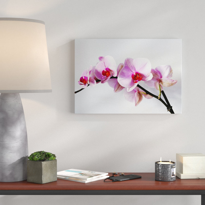 Wrapped Canvas Print, 50cm H x 76cm W