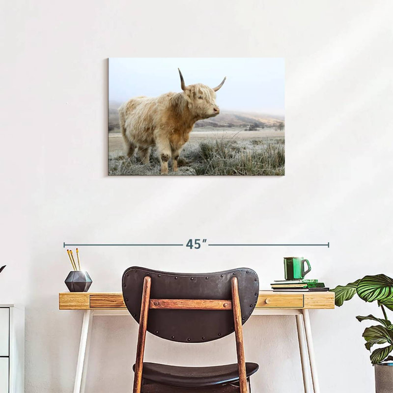 Brampt Wild White Highland Cow, 20" H x 30" W
