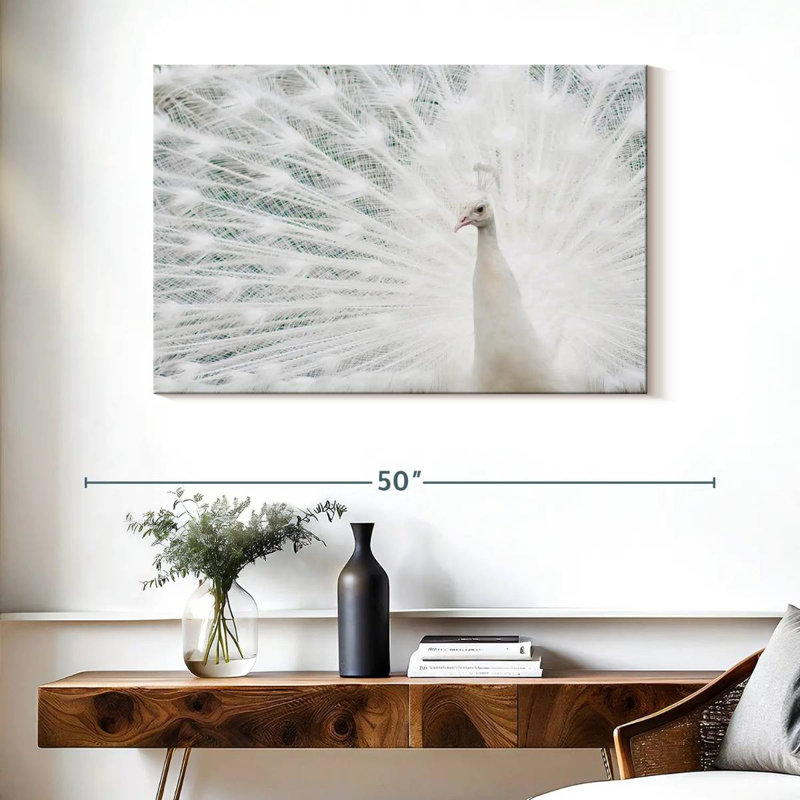 Plume de paon blanche neige, H 26 po x l 39 po