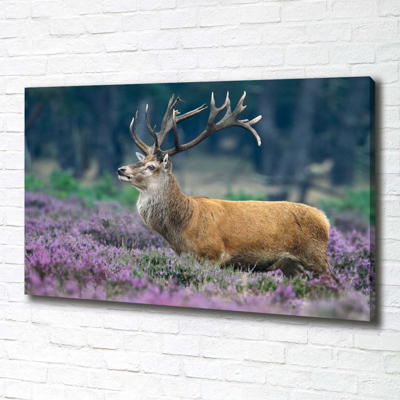 Deer Among Lavender - Wrapped Canvas Print