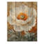 Pivoine blanche fleur de tranquillité - décoration murale en bois de coquelicots - sur bois de pin naturel-1922108930