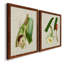Impression encadrée Elegant Tropicals IPremium - prête à être accrochée-84713495-84713512-84878295