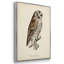 «French Owls I», ensemble de 3 toiles encadrées-97795716-97795720