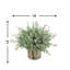 Eucalyptus And Birch Arrangement