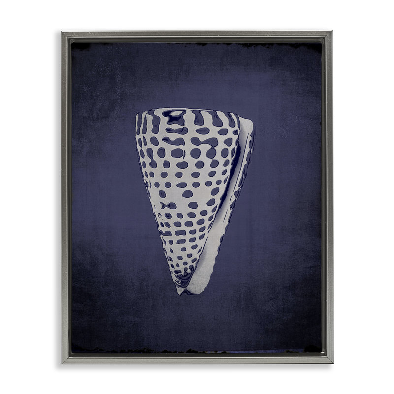  «Nautical Cone Shell», art mural encadré flottant par Graffi * Tee, Gris, H 31 po x l 25 po